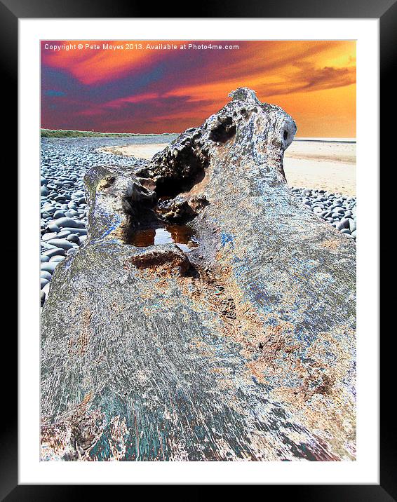 Driftwood in the Sunset#2 Framed Mounted Print by Pete Moyes