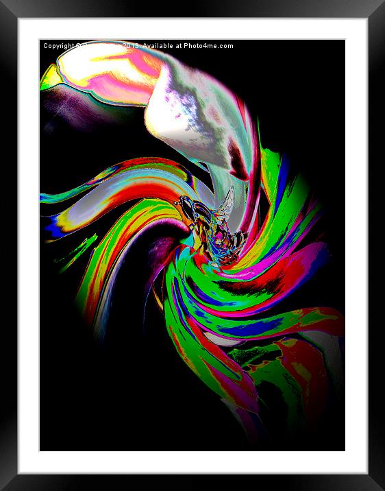 Twist Framed Mounted Print by Pete Moyes