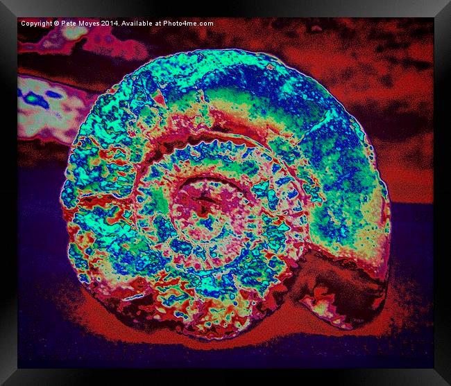 Abstract Ammonite   Framed Print by Pete Moyes