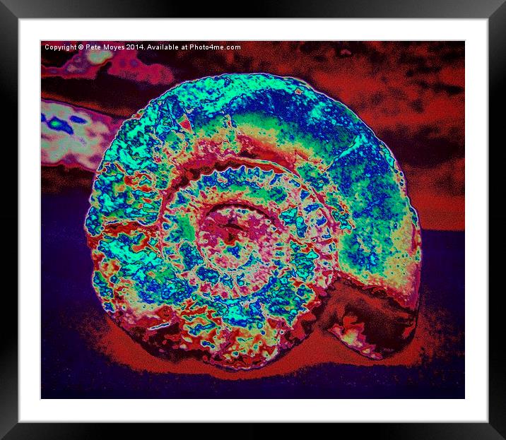 Abstract Ammonite   Framed Mounted Print by Pete Moyes