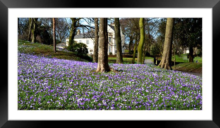 Vale House, in Vale Park, New Brighton, Wirral, UK Framed Mounted Print by Frank Irwin