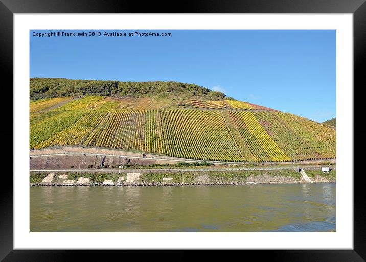 The vinyards of the River Rhine Framed Mounted Print by Frank Irwin