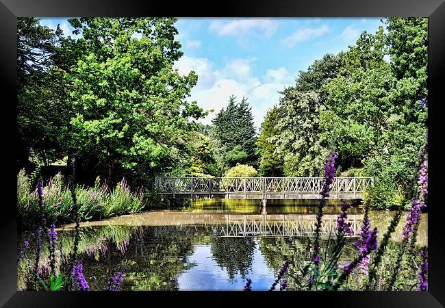 A secluded lake in Birkenhead Park Framed Print by Frank Irwin