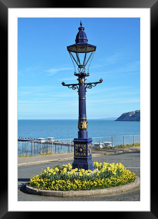 Victorian lamp in Happy Valley, Llandudno Framed Mounted Print by Frank Irwin