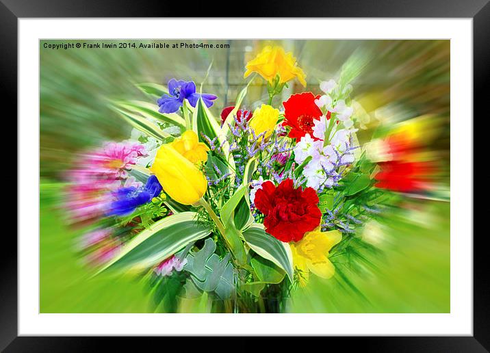 Beautiful and colourful flowers Framed Mounted Print by Frank Irwin