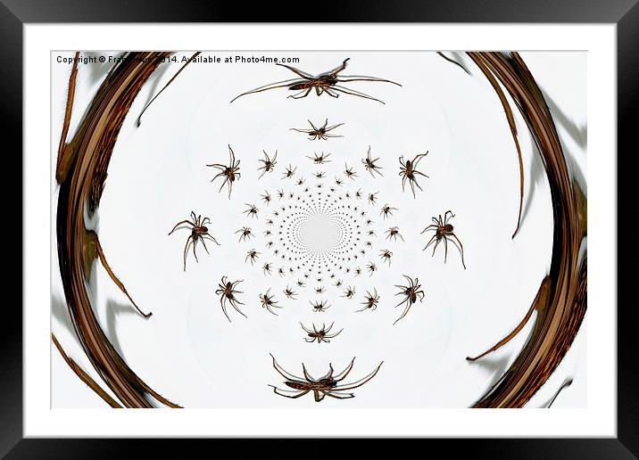   Arachnophobia a go-go Framed Mounted Print by Frank Irwin