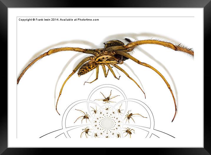  Arachnophobia a go-go Framed Mounted Print by Frank Irwin