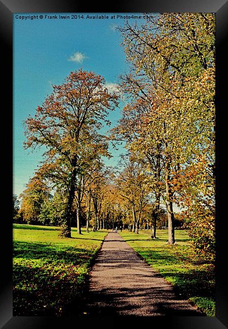  Atistic Autumnal colours in the park Framed Print by Frank Irwin