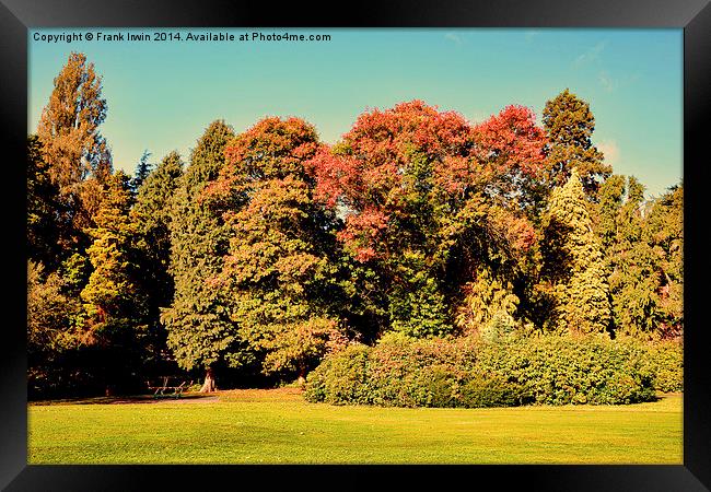  Autumnal colours in the park Framed Print by Frank Irwin