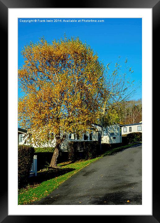  Autumnal colours in a Welsh caravan park Framed Mounted Print by Frank Irwin