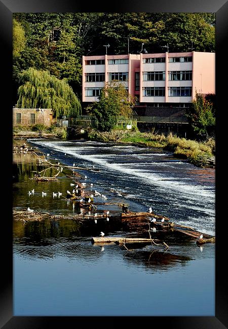 Part of The weir at Chester Framed Print by Frank Irwin