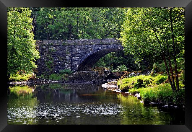  Picturesque bridge setting, Nr. Betws-y-Coed Framed Print by Frank Irwin