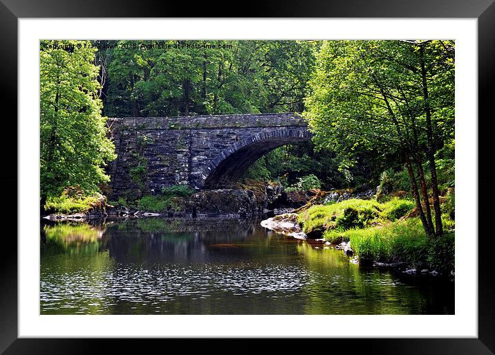  Picturesque bridge setting, Nr. Betws-y-Coed Framed Mounted Print by Frank Irwin