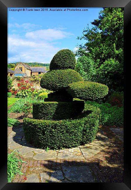  Cotswolds example of Topiary work Framed Print by Frank Irwin