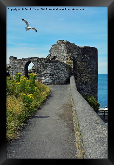 Part of Aberystwyth Castle Framed Print by Frank Irwin