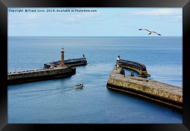 A small boat leaving Whitby Harbour Framed Print by Frank Irwin