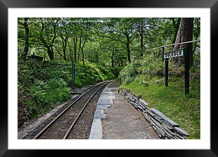 Dolgoch Station and woodlands.  Framed Mounted Print by Frank Irwin