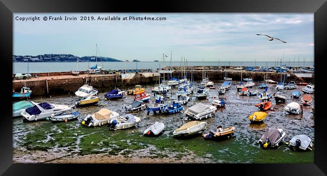 Paignton Harbour - Low Tide. Framed Print by Frank Irwin