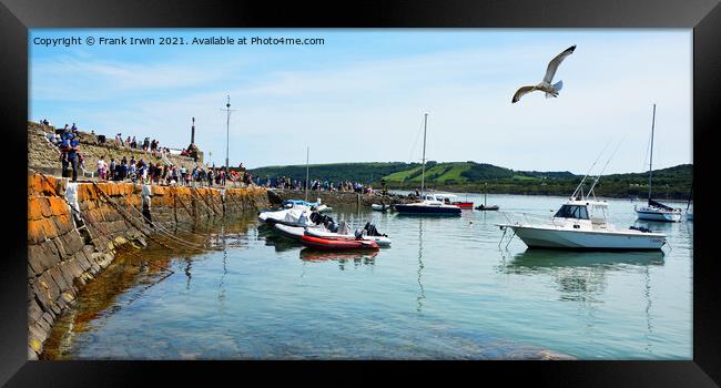 A seagull flies over New Quay Harbour Framed Print by Frank Irwin