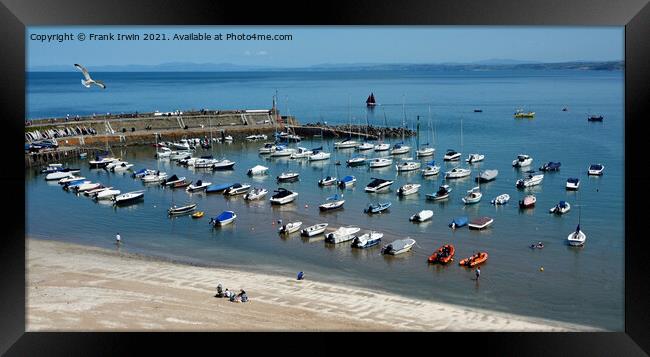 The Beautiful New Quay harbour in West Wales Framed Print by Frank Irwin