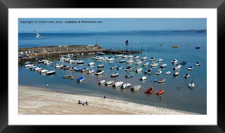 The Beautiful New Quay harbour in West Wales Framed Mounted Print by Frank Irwin