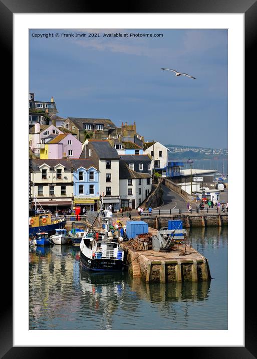 Brixham's busy little harbour Framed Mounted Print by Frank Irwin