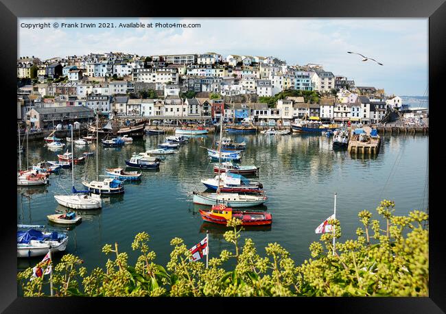 The little busy harbour of Brixham Framed Print by Frank Irwin