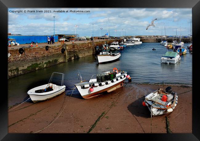 Sheltering within the harbour walls Framed Print by Frank Irwin