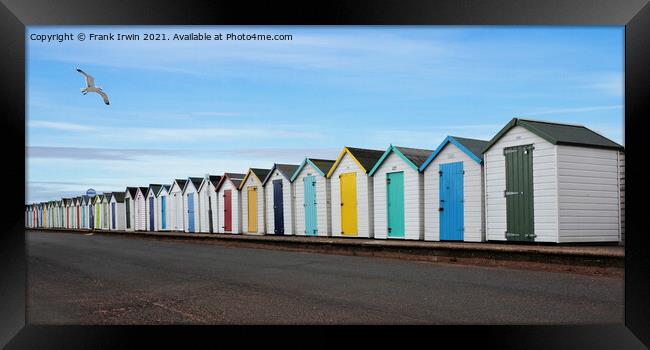 Beach huts parallel to the coastline Framed Print by Frank Irwin