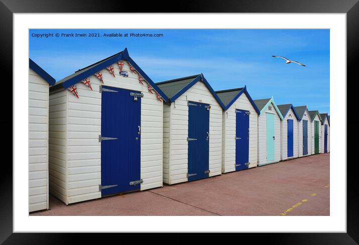 Beach huts on Paignton seafront Framed Mounted Print by Frank Irwin