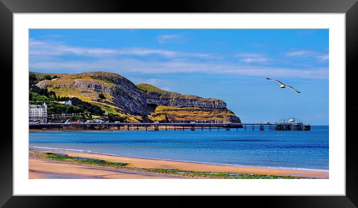 Llandudno Pier, Bay and Great Orme Framed Mounted Print by Frank Irwin