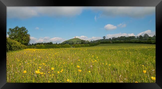 Buttercups At Glastonbury Framed Print by Roger Byng