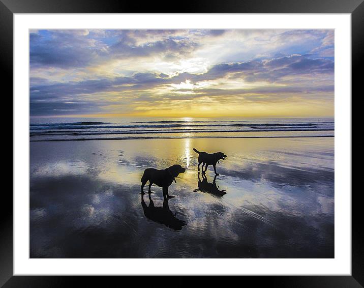Winter sunset at Woolacombe Framed Mounted Print by Andrew  Pettey