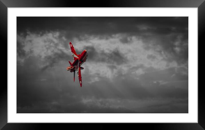 Single Red Framed Mounted Print by Gareth Burge Photography