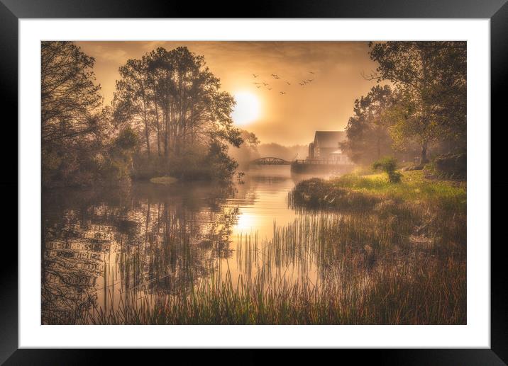 Down By The Riverside Framed Mounted Print by Gareth Burge Photography
