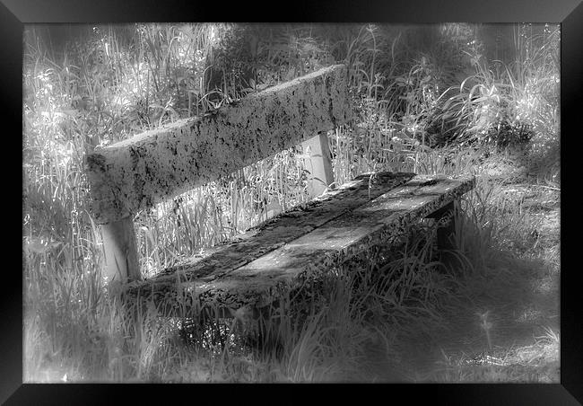Forgotten Bench Framed Print by Gareth Burge Photography