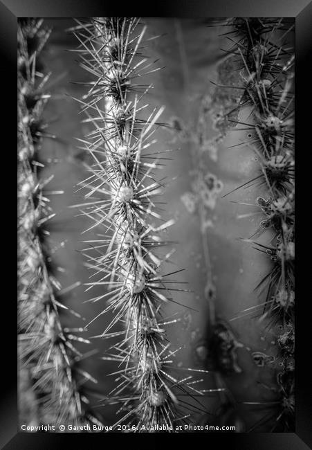 Saguaro Cactus, Superstition Mountains, Arizona Framed Print by Gareth Burge Photography
