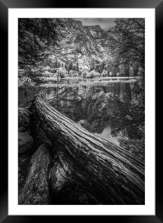 Fallen Tree, Mirror Lake, Yosemite National Park Framed Mounted Print by Gareth Burge Photography