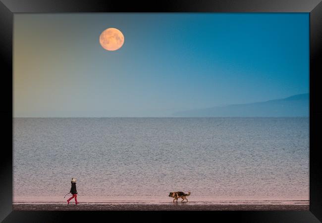 Just the Moon and my Best Friend Framed Print by Gareth Burge Photography
