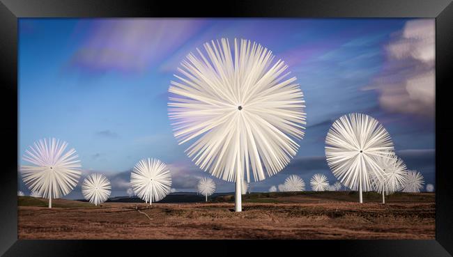 Flowers At The Farm Framed Print by Gareth Burge Photography