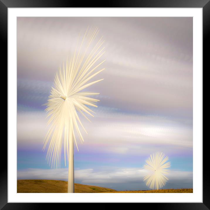 Electric Flowers Framed Mounted Print by Gareth Burge Photography