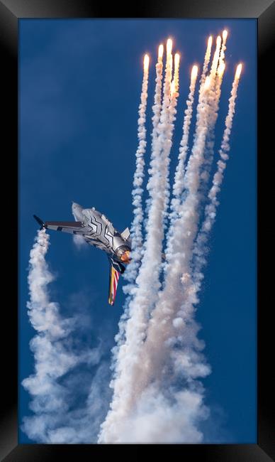 Cannae Catch Me Framed Print by Gareth Burge Photography