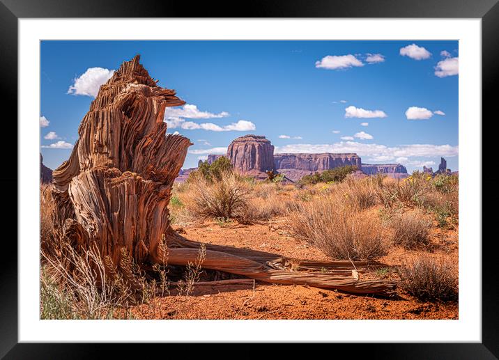 Tree Stump Butte Framed Mounted Print by Gareth Burge Photography