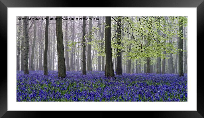  Bluebell Wood at Dawn Framed Mounted Print by Martin Parratt