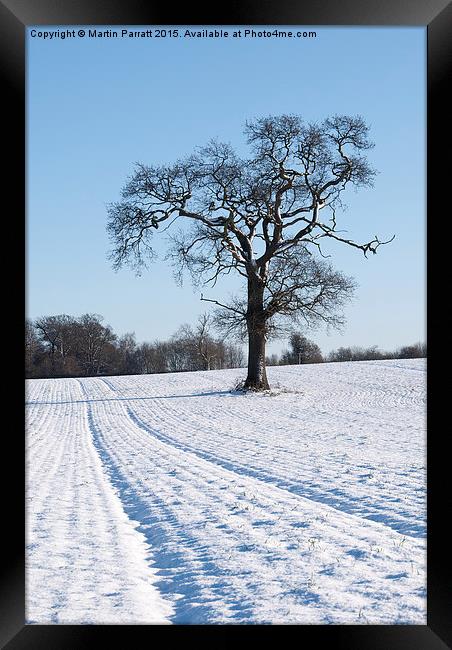 Tree in Snow Framed Print by Martin Parratt