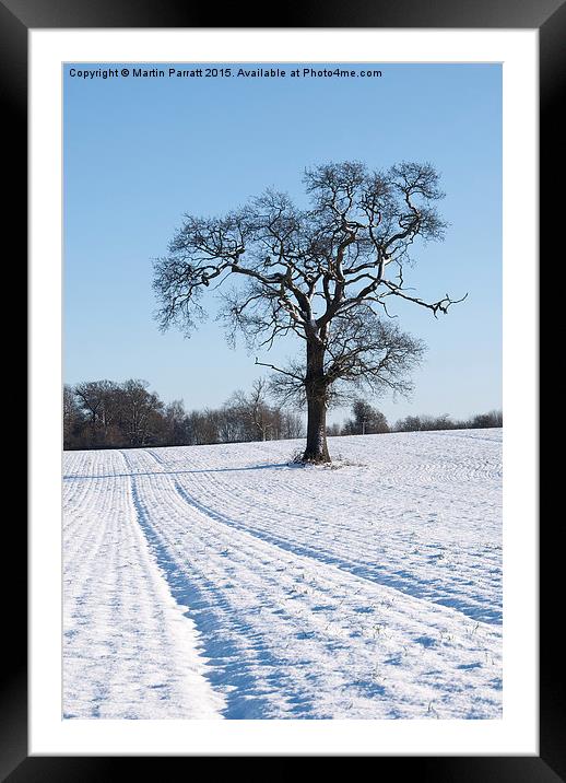 Tree in Snow Framed Mounted Print by Martin Parratt