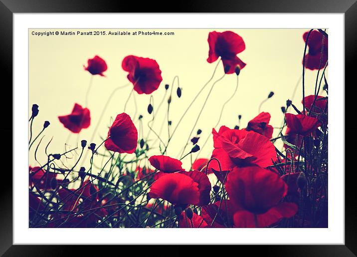 Poppies Framed Mounted Print by Martin Parratt