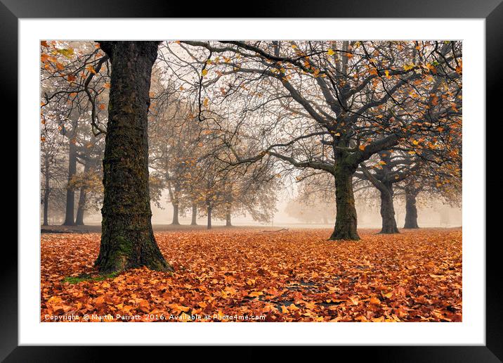 Autumn leaves Framed Mounted Print by Martin Parratt