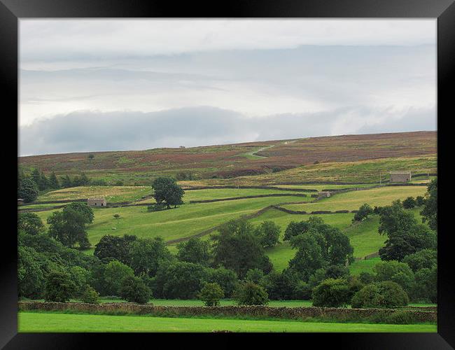 The Dales of yorkshire Framed Print by Sylvia howarth