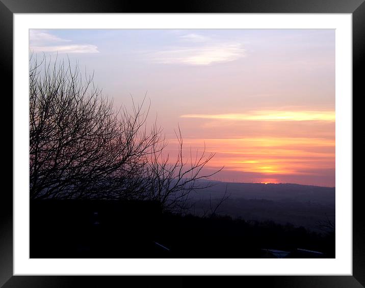 The last of the sun Framed Mounted Print by Bill Lighterness